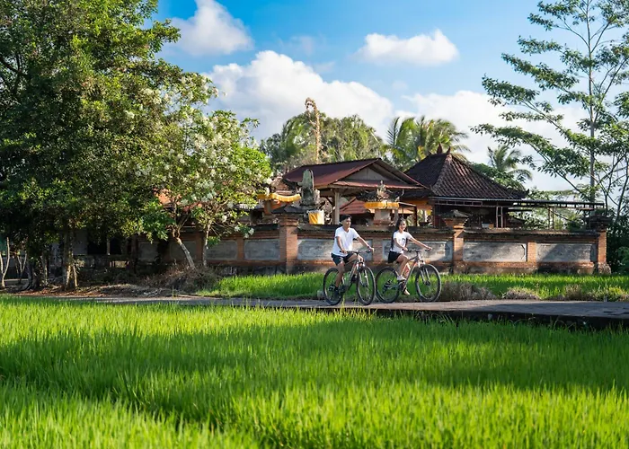 Отель Ashva Swiss-belresort,