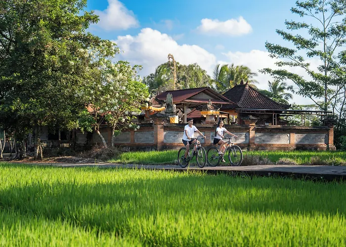 Resort Ashva Swiss-belresort, 5*